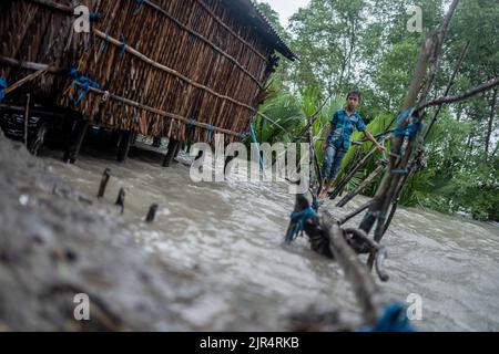 Un garçon traverse un pont en bambou pendant la marée haute au village de Kalabogi à Khulna. Il n'y a pas si longtemps, Kalabogi, un village côtier du Bangladesh, était plein de terres cultivables jusqu'à ce que l'élévation du niveau de la mer commence à avaler la région jusqu'à la baie du Bengale. Des cyclones et des inondations fréquents ont frappé le village depuis la fin de 1990s. En 2009, un important cyclone nommé Aila a détruit les 1 400 kilomètres de remblais, 8 800 kilomètres de routes et environ 3,50,000 acres de terres agricoles du pays. Plusieurs centaines de personnes auraient été tuées dans la catastrophe. Les agriculteurs de Kalabogi étaient le pire salut Banque D'Images