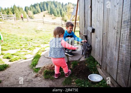 Enfants jouant avec le chat sur village de montagne. Banque D'Images