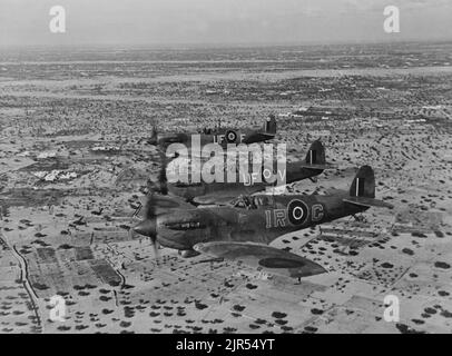 Une photo vintage vers 1943 montrant les Spitfires Supermarine britanniques lors d'une patrouille aérienne de combat au-dessus de l'île de Djerba sur leur chemin vers la ligne de la Mareth en Tunisie en Afrique du Nord pendant la deuxième guerre mondiale Banque D'Images