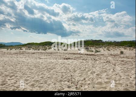 Plage de sable avec une végétation méditerranéenne dans le fond recouvert d'un ciel bleu avec des nuages avant l'orage. Banque D'Images