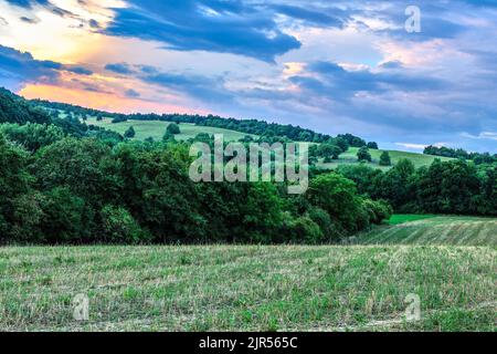 Soirée d'été forêt, paysage vallonné avec ciel coloré après le coucher du soleil. Au premier plan. Fond naturel, papier peint. Hrabovka, Slovaquie Banque D'Images