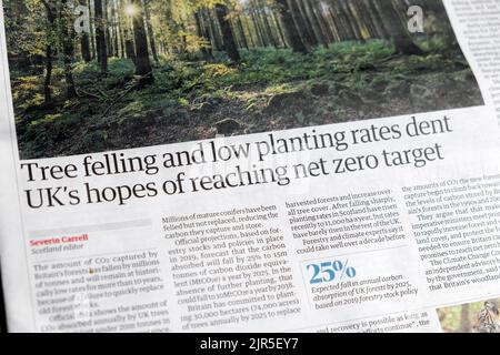 « L'abattage des arbres et les faibles taux de plantation font des envelles aux espoirs du Royaume-Uni d'atteindre l'objectif net zéro », article du journal Guardian, écrêtant le 24 juillet 2022 Londres Royaume-Uni Banque D'Images