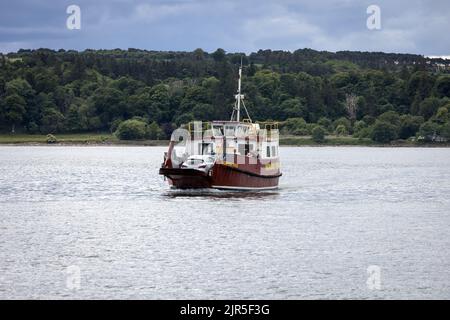 Le ferry de Renfrew Rose traverse le port de Cromarty entre Cromarty et Nigg Banque D'Images