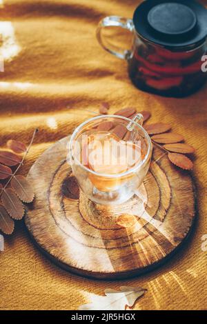 Tisane dans verre tasse en forme de coeur om planche en bois. Vue de dessus, photo verticale, espace de copie. Banque D'Images