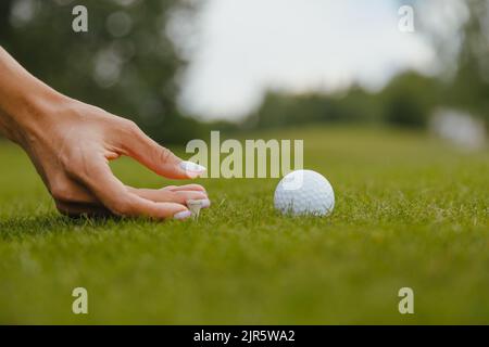 Main du golfeur utilisant le tee dans l'herbe avant de balancer sur le terrain de golf Banque D'Images