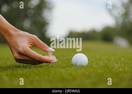 Main du golfeur utilisant le tee dans l'herbe avant de balancer sur le terrain de golf Banque D'Images