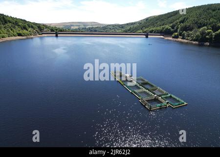 Réservoir de Ladybower Peak District England vue aérienne de drone Banque D'Images