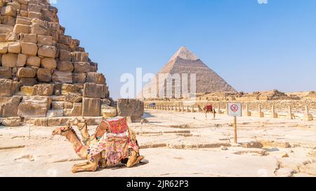 Vue sur les pyramides de Gizeh, Égypte Banque D'Images