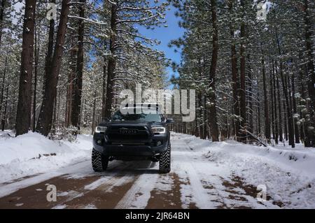 Gros plan d'un Toyota Tacoma noir sur un étroit train enneigé dans une forêt de Big Bear Banque D'Images