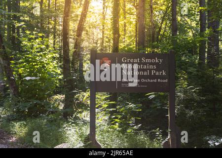 Un panneau indiquant le parc national des Great Smoky Mountains se trouve sur le côté de la route. Banque D'Images