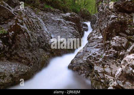 Rivière de montagne à Apuseni, détails pris en Transylvanie afferment une forte pluie Banque D'Images