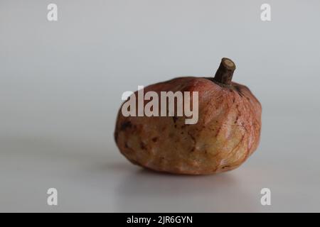 Fruits mûrs de pomme de Custard rouge ou coeur de bullocks d'Annona reticulata. Un fruit dont la forme est variable. Lorsqu'il est mûr, le fruit est brun ou jaunâtre, avec du rouge Banque D'Images