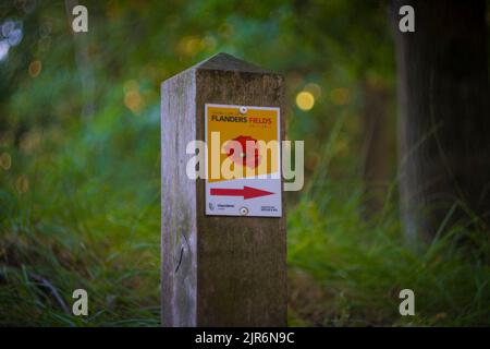 Kapellen, Belgique, août 2022 : les champs de Flandre sont signalés sur une ligne de tranchée de la première Guerre mondiale à Mastebos, à Kapellen Banque D'Images