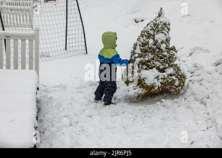 Belle vue sur les jeux d'enfants dans le jardin d'hiver près de thuja. Suède. Banque D'Images