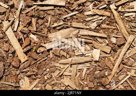 Texture de fond de petits copeaux de bois et d'écorce. Textures et arrière-plans Banque D'Images