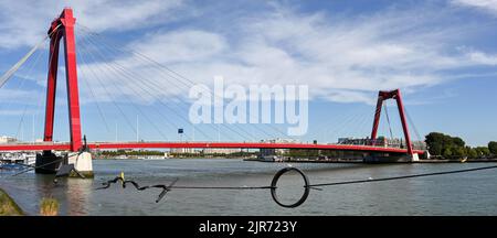 Rotterdam, pays-Bas - août 2022 : pont Willems dans le centre-ville, au-dessus de la rivière Nieuwe Maas. Au premier plan est une sculpture Banque D'Images