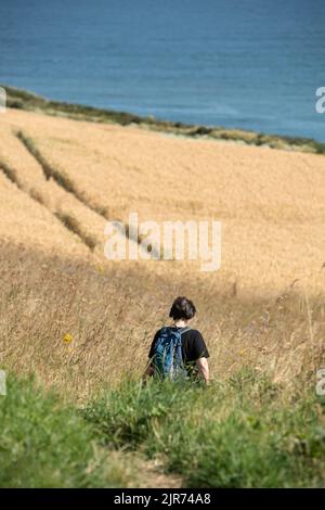 Femme marchant sur le sentier côtier du Berwickshire près d'Eyemouth dans les frontières écossaises Banque D'Images