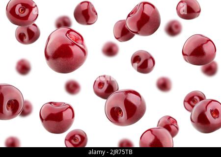 Cerisier tombant isolé sur fond blanc, mise au point sélective Banque D'Images