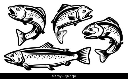 Ensemble de truites. Symbole ou logo pêche, fruits de mer. Illustration vectorielle de style monochrome isolée sur fond blanc Illustration de Vecteur