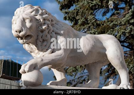 Sculptures traditionnelles du lion près du palais Vorontsov à Odesa, Ukraine Banque D'Images