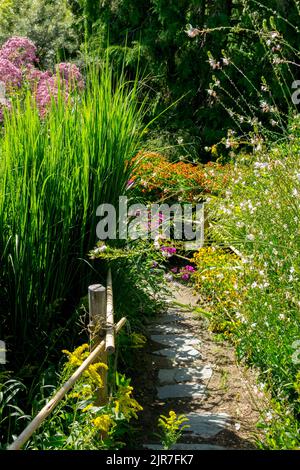 Chemin étroit jardin grands plans chemin bordé dans le jardin bordure d'herbe Gaura Helenium Joe Pye Weed Beauté du jardin d'été de longues herbes Banque D'Images