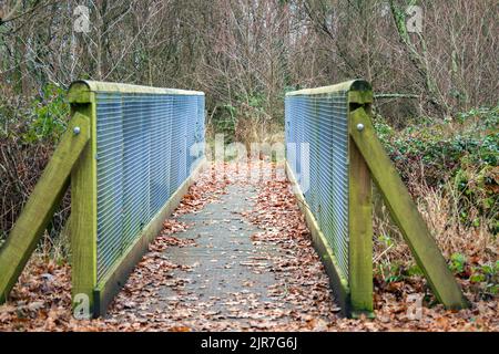 Passerelle en bois, Blashford Lakes nature Reserve Hampshire, Royaume-Uni Banque D'Images