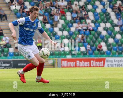 Windsor Park, Belfast, Irlande du Nord, Royaume-Uni. 14 août 2022. Danske Bank Premiership – Linfield / Portatown. Footballeur en action Daniel Finlayson, joueur de football de Linfield (18). Banque D'Images