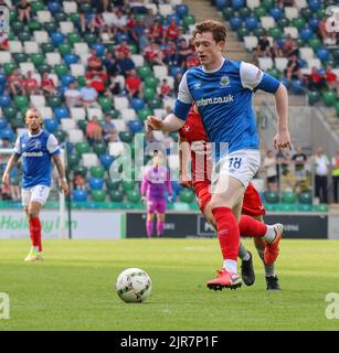 Windsor Park, Belfast, Irlande du Nord, Royaume-Uni. 14 août 2022. Danske Bank Premiership – Linfield / Portatown. Footballeur en action Daniel Finlayson, joueur de football de Linfield (18). Banque D'Images