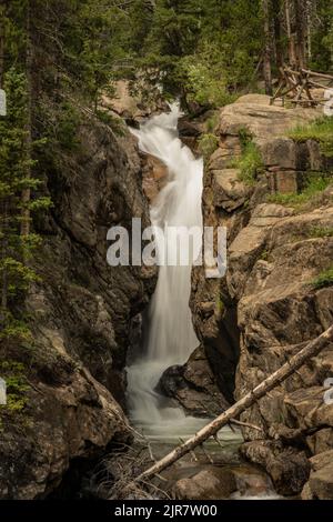 Les chutes de Chasm tombent dans le canyon étroit dans le parc national des montagnes Rocheuses Banque D'Images