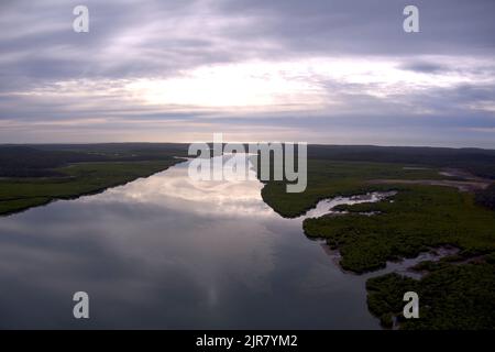 Antenne de mangroves le long des rives de Graham Creek sur l'île Curtis Queensland Australie Banque D'Images