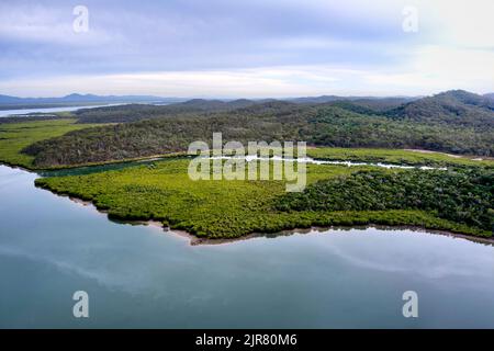 Antenne de mangroves le long des rives de Graham Creek sur l'île Curtis Queensland Australie Banque D'Images