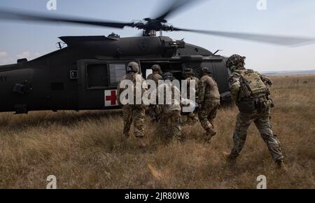 Des soldats affectés au quartier général et au quartier général de la Compagnie et de la Compagnie Bravo, 1st Bataillon, 502nd Régiment d'infanterie “PREMIÈRE GRÈVE”, 2nd Brigade combat Team “GRÈVE”, 101st Airborne Division (Air Assault), effectuent des soins de victimes de combat tactique le 19 août 2022 dans la zone d'entraînement de Babadag, en Roumanie. 101st unités souveront la mission du V corps pour renforcer le flanc est de l’OTAN et s’engageront dans des exercices multinationaux avec des partenaires à travers le continent européen pour rassurer nos alliés des nations. (É.-U. Photo de l'armée par le sergent d'état-major. Malcolm Cohens-Ashley, 2nd Brigade combat Team public Affairs.) Banque D'Images