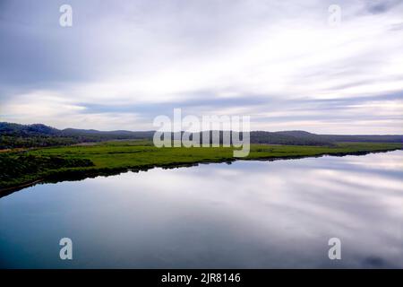 Antenne de mangroves le long des rives de Graham Creek sur l'île Curtis Queensland Australie Banque D'Images