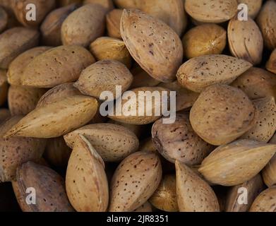 Bucarest, Roumanie - 28 juillet 2022: Un sac d'amandes brutes en carapace. Banque D'Images