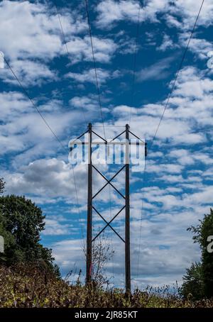 Lignes électriques à travers les bois sur une bande de terre à Warren, Pennsylvanie, États-Unis lors d'une journée ensoleillée d'été Banque D'Images