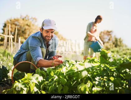 Il n'est pas frais que cela. Deux jeunes agriculteurs heureux moissonnant des herbes et des légumes ensemble sur leur ferme. Banque D'Images