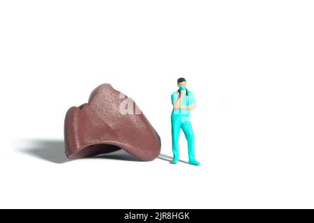 Photographie miniature de personnage de jouet de personnes. Un médecin ou une infirmière qui pense en se tenant debout devant un organe du foie. Arrière-plan blanc isolé. Photo d'image Banque D'Images