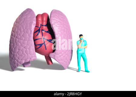 Photographie miniature de personnage de jouet de personnes. Un médecin ou une infirmière qui pense en se tenant debout devant un organe pulmonaire. Arrière-plan blanc isolé. Photo d'image Banque D'Images