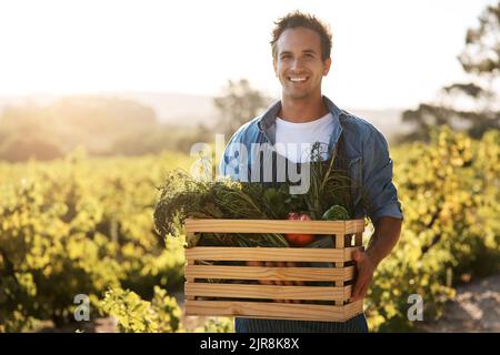 Dégustez des produits frais, sains et cultivés localement. Un jeune homme tenant une caisse pleine de produits fraîchement cueillis sur une ferme. Banque D'Images