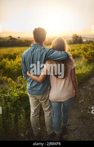 Je n'ai jamais pensé que cela aurait été possible. Un jeune couple marchant dans leurs récoltes tout en se tenant les uns les autres et regardant dans l'horizon. Banque D'Images