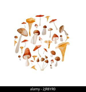 Peintures aux champignons d'automne Banque D'Images