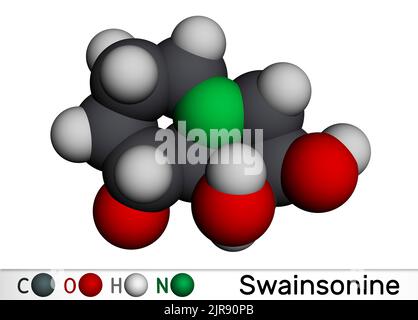 Swainsonine, molécule de tridolgosir. Il est alcaloïde indolizidine de la plante Swainsona, avec une activité immunomodulatrice. Modèle moléculaire. 3D rendu Banque D'Images