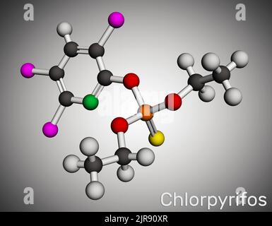 Chlorpyrifos, molécule CPS. Il s'agit d'un neurotoxique organophosphoré, utilisé comme pesticide. Modèle moléculaire. 3D rendu. Illustration Banque D'Images