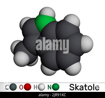 Skatole, molécule de 3-méthylindole. Appartiennent à la famille des indoles, utilisés comme parfum et fixateur dans de nombreux parfums et comme composé aromatique. Modèle moléculaire. Banque D'Images