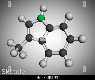 Skatole, molécule de 3-méthylindole. Appartiennent à la famille des indoles, utilisés comme parfum et fixateur dans de nombreux parfums et comme composé aromatique. Modèle moléculaire. Banque D'Images