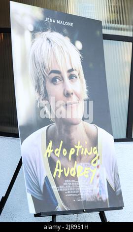 Los Angeles, États-Unis. 22nd août 2022. LOS ANGELES, CALIFORNIE, États-Unis - AOÛT 22 : une vue générale de l'atmosphère à la première de Los Angeles de vertical Entertainment 'adoptant Audrey' qui s'est tenue aux studios Brain Dead LA on 22 août 2022 à Los Angeles, Californie, États-Unis. (Photo de Xavier Collin/image Press Agency) Credit: Image Press Agency/Alay Live News Banque D'Images