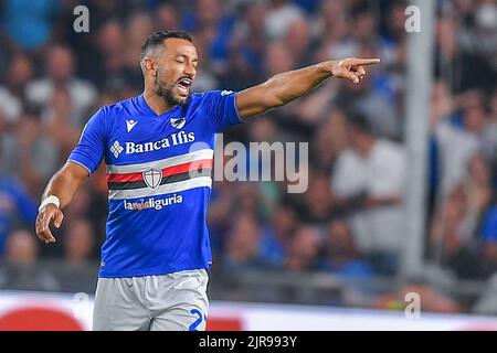 Genova, Italie. 22nd août 2022. Fabio Quagliarella (Sampdoria) pendant UC Sampdoria vs Juventus FC, football italien série A match à Genova, Italie, 22 août 2022 crédit: Agence de photo indépendante/Alamy Live News Banque D'Images