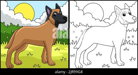 Illustration de la page de coloriage du chien belge Malinois Illustration de Vecteur