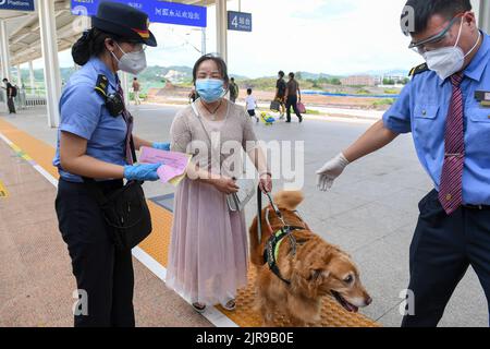 Guangdong, province chinoise de Guangdong. 19th août 2022. Le membre du personnel Zhang Jinyu (R) coordonne les travaux de service aux passagers de Zhang Li avec le chef de train Li Shuang (L) à la gare de Heyuan East à Heyuan, dans la province de Guangdong, au sud de la Chine, le 19 août 2022. Zhang Li, une personne malvoyée, est retourné à Huizhou de Heyuan, dans la province de Guangdong, par train. L'accompagnant pendant le voyage était son chien guide, l'homme Yue.depuis 2017, l'homme Yue a été à de nombreux endroits avec Zhang Li et est devenu un membre de la famille de Zhang. Credit: Mao Siqian/Xinhua/Alamy Live News Banque D'Images