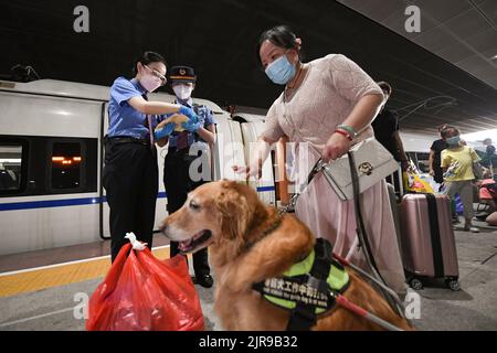 Guangdong, province chinoise de Guangdong. 19th août 2022. Luo min (1st L), membre du personnel, coordonne les travaux de service aux passagers pour Zhang Li avec le conducteur de train Li Shuang (2nd L) à la gare de Shenzhen North à Shenzhen, dans la province de Guangdong, dans le sud de la Chine, le 19 août 2022. Zhang Li, une personne malvoyée, est retourné à Huizhou de Heyuan, dans la province de Guangdong, par train. L'accompagnant pendant le voyage était son chien guide, l'homme Yue.depuis 2017, l'homme Yue a été à de nombreux endroits avec Zhang Li et est devenu un membre de la famille de Zhang. Credit: Mao Siqian/Xinhua/Alamy Live News Banque D'Images